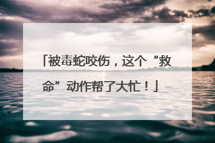 被毒蛇咬伤，这个“救命”动作帮了大忙！