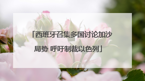 西班牙召集多国讨论加沙局势 呼吁制裁以色列