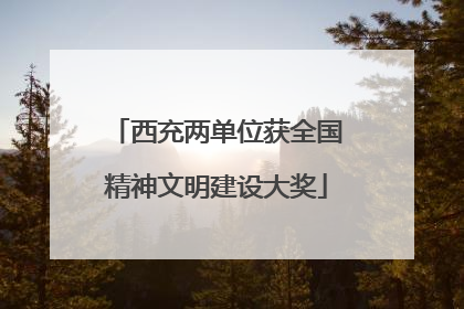 西充两单位获全国精神文明建设大奖