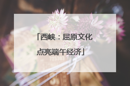 西峡：屈原文化点亮端午经济