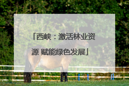 西峡：激活林业资源 赋能绿色发展