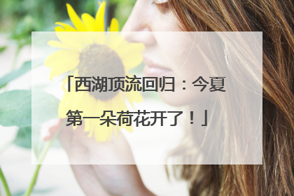 西湖顶流回归：今夏第一朵荷花开了！