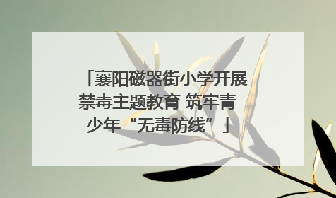 襄阳磁器街小学开展禁毒主题教育 筑牢青少年“无毒防线”