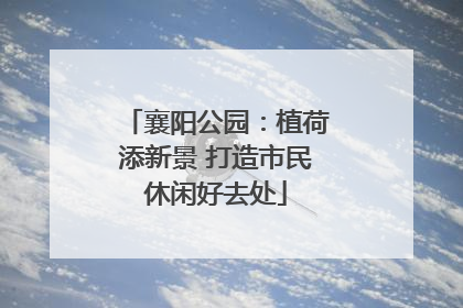 襄阳公园：植荷添新景 打造市民休闲好去处