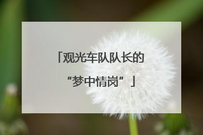 观光车队队长的“梦中情岗”