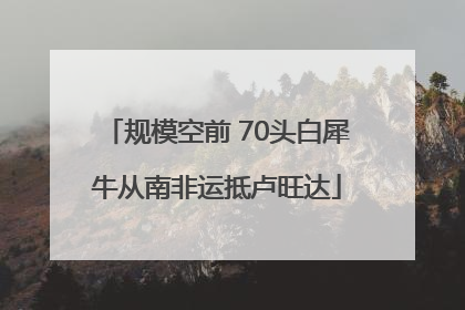 规模空前 70头白犀牛从南非运抵卢旺达