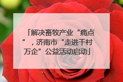 解决畜牧产业“痛点”，济南市“走进千村万企”公益活动启动