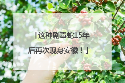 这种剧毒蛇15年后再次现身安徽！