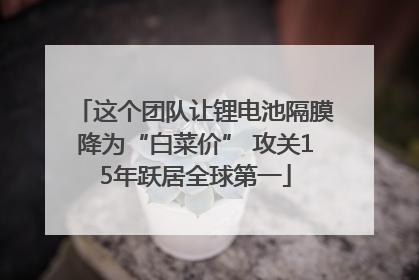 这个团队让锂电池隔膜降为“白菜价” 攻关15年跃居全球第一
