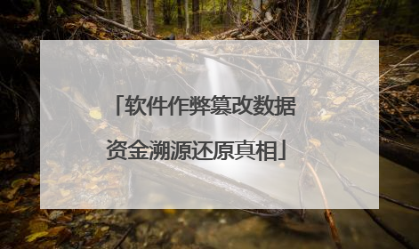软件作弊篡改数据 资金溯源还原真相