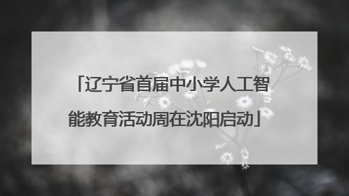 辽宁省首届中小学人工智能教育活动周在沈阳启动