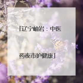 辽宁岫岩：中医药夜市护健康