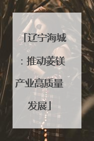 辽宁海城：推动菱镁产业高质量发展