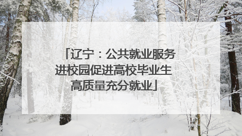 辽宁：公共就业服务进校园促进高校毕业生高质量充分就业