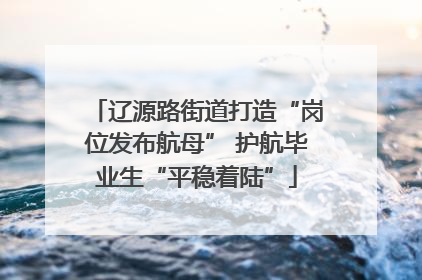 辽源路街道打造“岗位发布航母” 护航毕业生“平稳着陆”