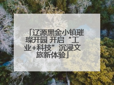 辽源黑金小镇璀璨开园 开启“工业+科技”沉浸文旅新体验