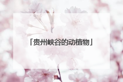 贵州峡谷的动植物