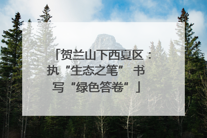 贺兰山下西夏区：执“生态之笔” 书写“绿色答卷”