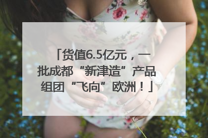 货值6.5亿元，一批成都“新津造”产品组团“飞向”欧洲！