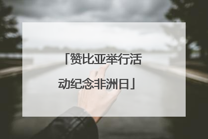 赞比亚举行活动纪念非洲日