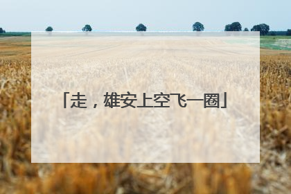 走，雄安上空飞一圈