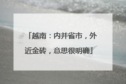 越南：内并省市，外近金砖，意思很明确