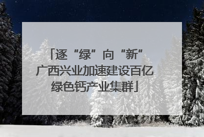 逐“绿”向“新” 广西兴业加速建设百亿绿色钙产业集群