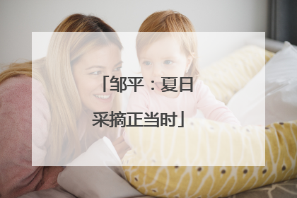 邹平：夏日采摘正当时