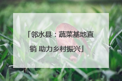 邻水县：蔬菜基地直销 助力乡村振兴