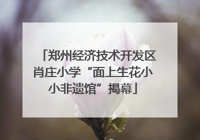 郑州经济技术开发区肖庄小学“面上生花小小非遗馆”揭幕