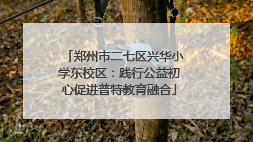 郑州市二七区兴华小学东校区：践行公益初心促进普特教育融合