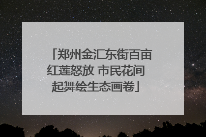 郑州金汇东街百亩红莲怒放 市民花间起舞绘生态画卷