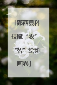 郧西县科技赋“农”“智”绘新画卷