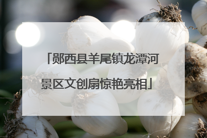 郧西县羊尾镇龙潭河景区文创扇惊艳亮相