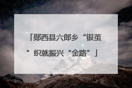 郧西县六郎乡“银茧”织就振兴“金路”