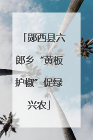 郧西县六郎乡“黄板护椒”促绿兴农