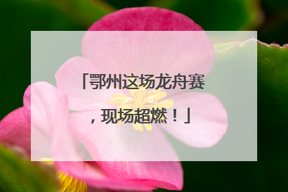 鄂州这场龙舟赛，现场超燃！