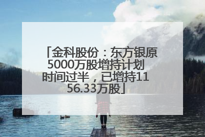 金科股份：东方银原5000万股增持计划时间过半，已增持1156.33万股
