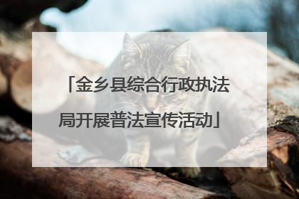 金乡县综合行政执法局开展普法宣传活动