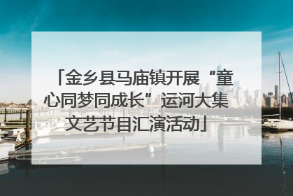 金乡县马庙镇开展“童心同梦同成长”运河大集文艺节目汇演活动
