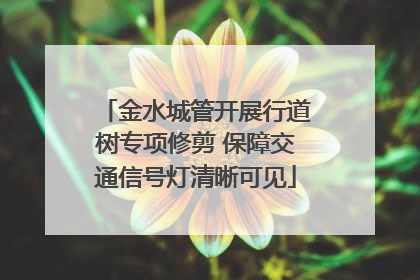 金水城管开展行道树专项修剪 保障交通信号灯清晰可见