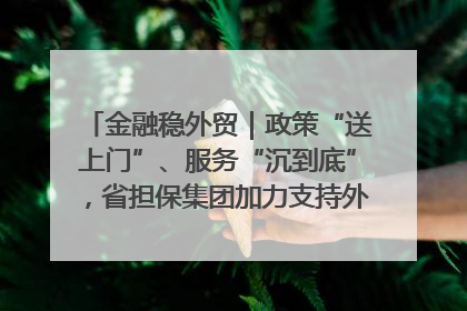 金融稳外贸｜政策“送上门”、服务“沉到底”，省担保集团加力支持外经贸高质量发展