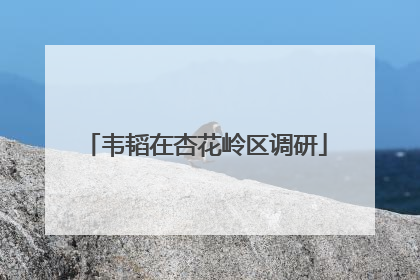 韦韬在杏花岭区调研