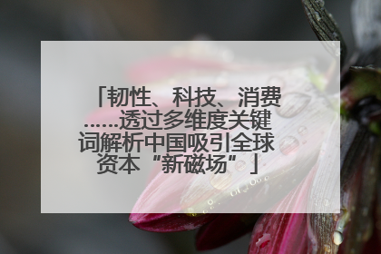 韧性、科技、消费……透过多维度关键词解析中国吸引全球资本“新磁场”