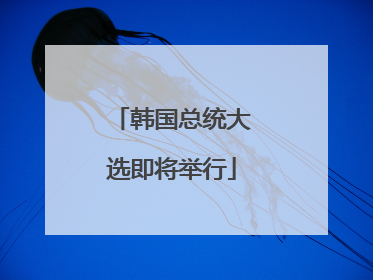 韩国总统大选即将举行