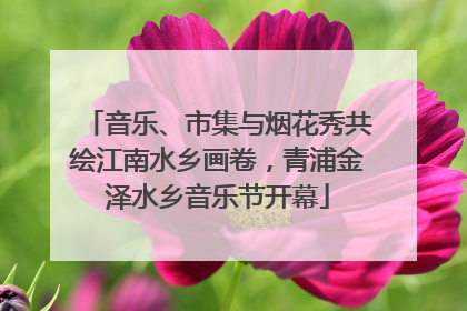 音乐、市集与烟花秀共绘江南水乡画卷，青浦金泽水乡音乐节开幕
