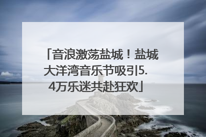 音浪激荡盐城！盐城大洋湾音乐节吸引5.4万乐迷共赴狂欢