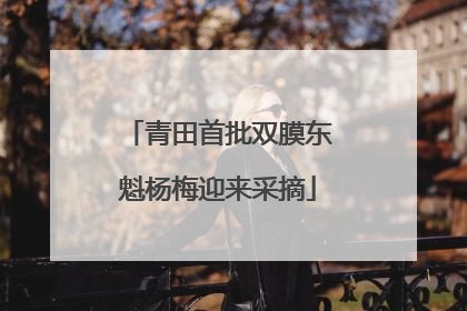 青田首批双膜东魁杨梅迎来采摘