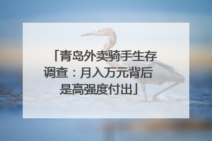 青岛外卖骑手生存调查：月入万元背后是高强度付出