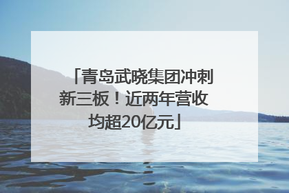 青岛武晓集团冲刺新三板！近两年营收均超20亿元